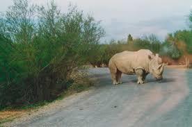 Réserve Africaine de Sigean