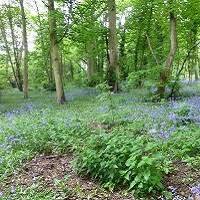 Oare Gunpowder Works Country Park
