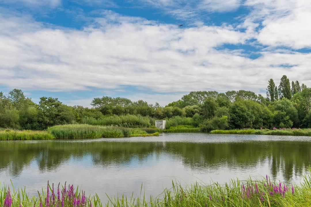 Riserva naturale London Wetland Centre