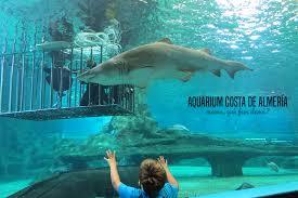 Aquarium Costa De Almeria