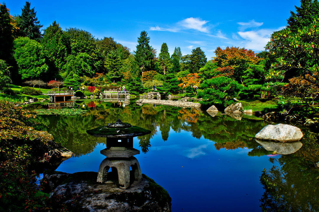 Seattle Japanese Garden