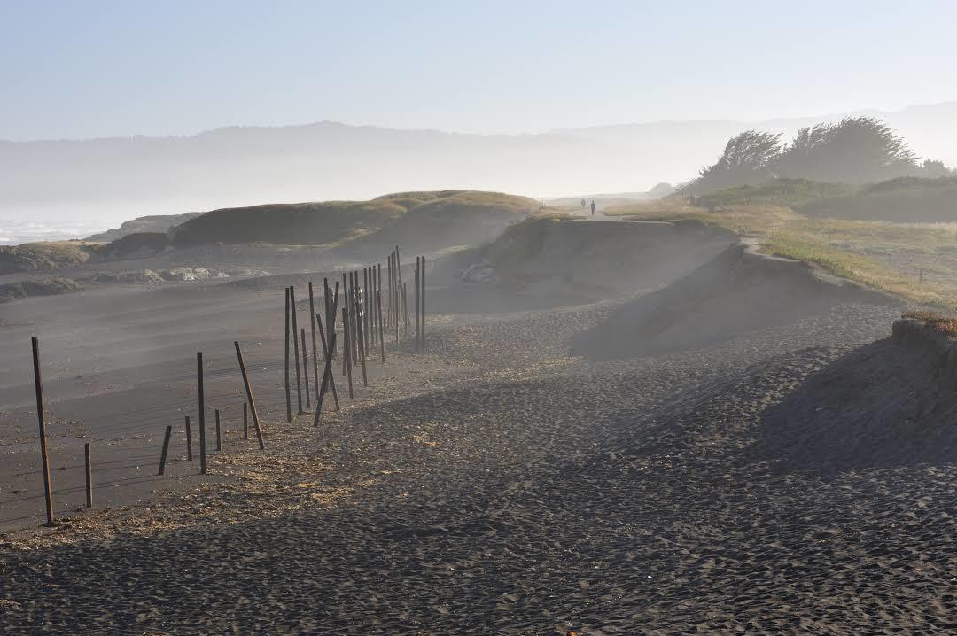 MacKerricher State Park