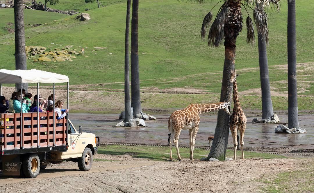 San Diego Zoo Safari Park