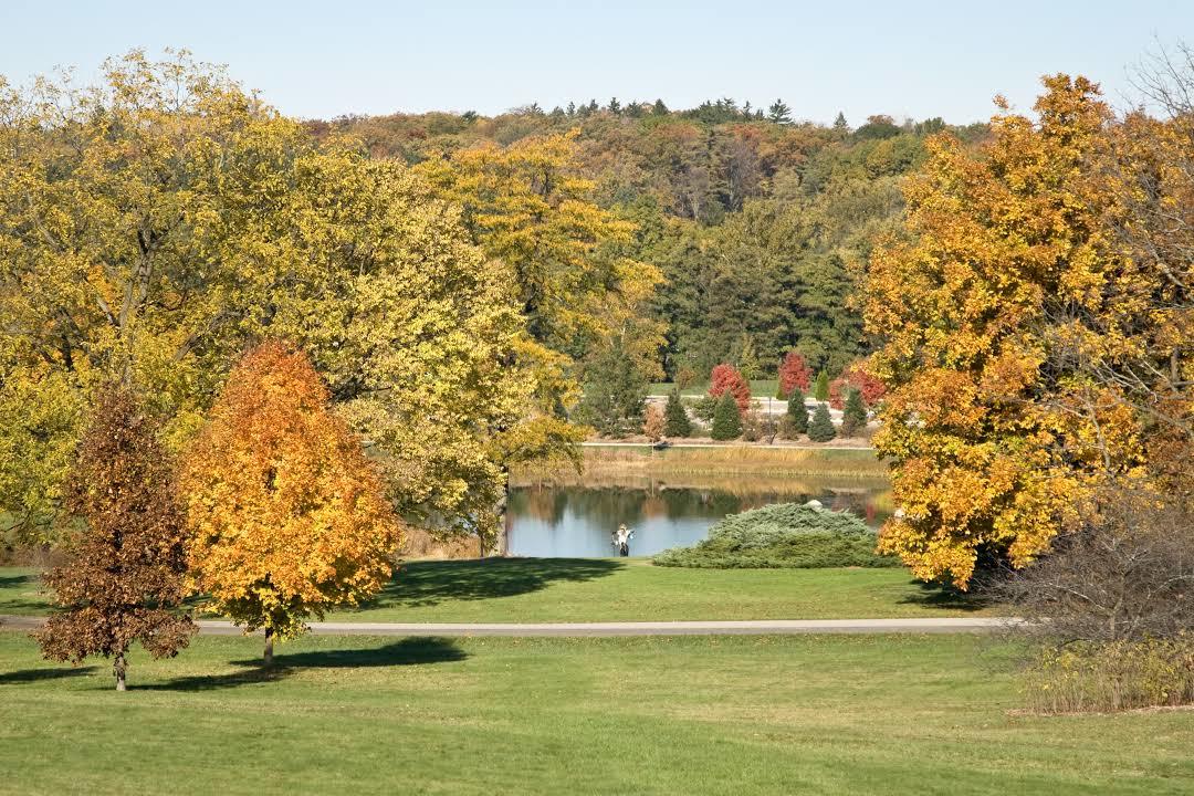The Morton Arboretum