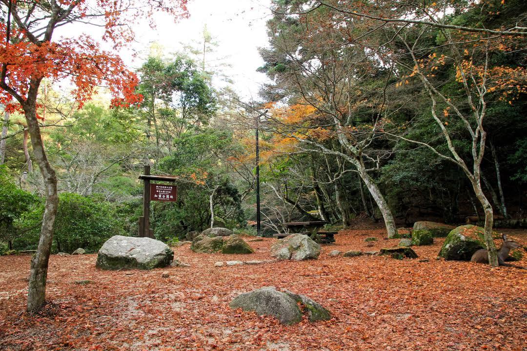 Momijidani Park