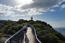 Farol de Cape Tourville