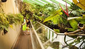 Musée d'Histoire Naturelle et Vivarium