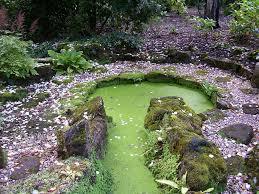 Winterbourne House and Garden