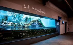 Aquarium de Vendée