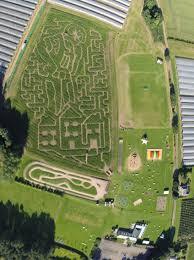 Cairnie Fruit Farm & Mega Maze