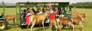 The Scottish Deer Centre