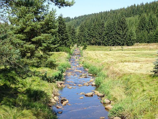Naturschutzgebiet Schwarzwassertal