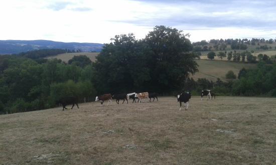 La Ferme Aux Fromages