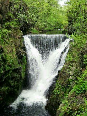 Cascade du Saut de L'Ognon