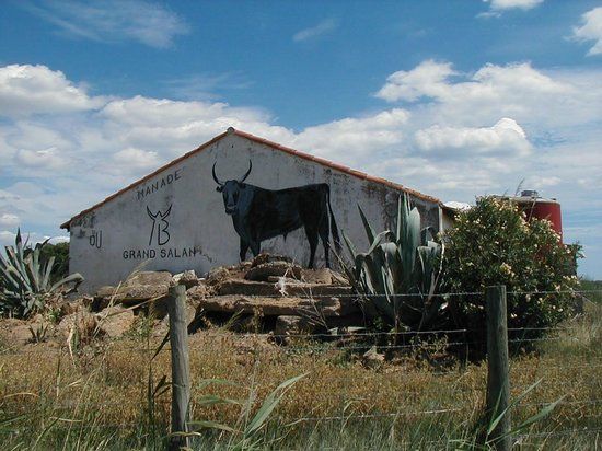 Manade du Grand Salan