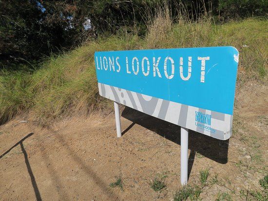 Lions Lookout