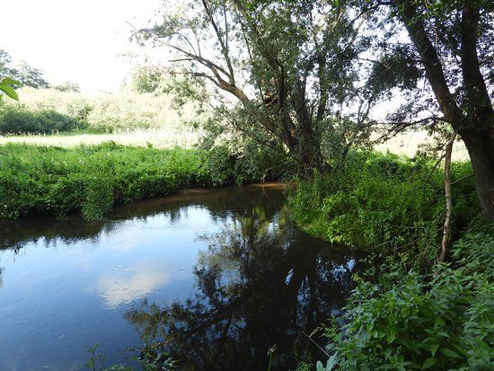 Meanderende Swalm in het Groenewoud