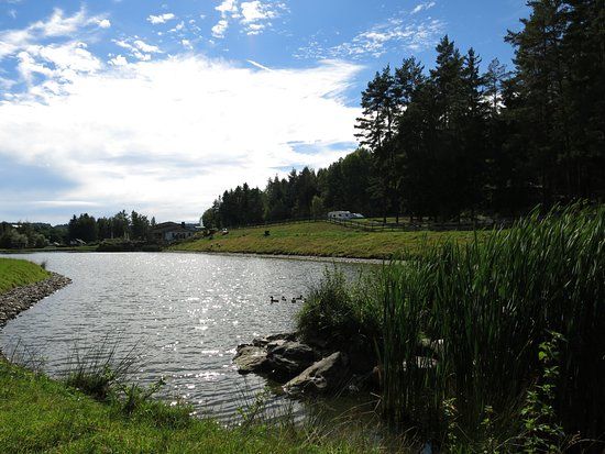 Gläserner Bauernhof