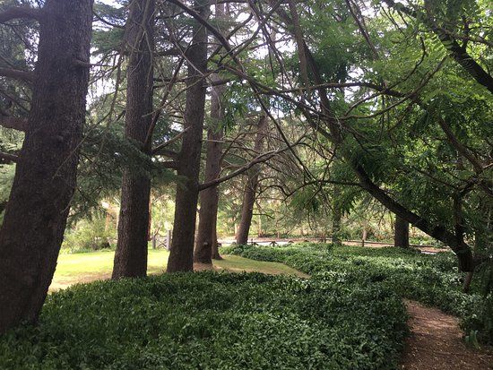 Hans Heysen Art Studio