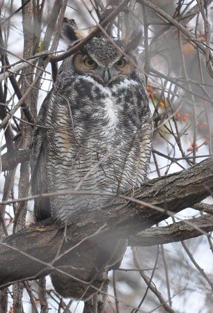 Wintergarden Nature Preserve