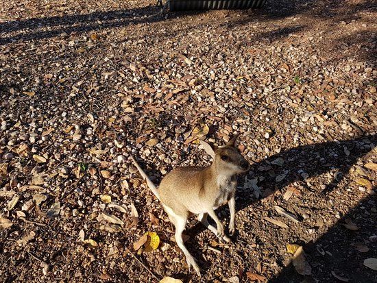 Nina's Ark Wildlife Sanctuary