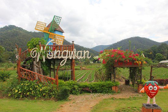 Wongwan Strawberry Farm