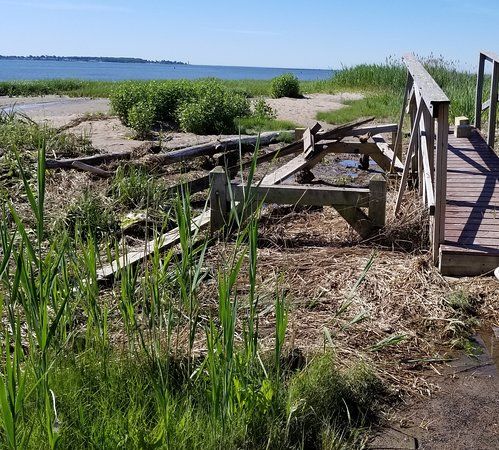 Long Wharf Nature Preserve