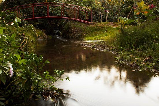 Lauraceas Lodge.Restaurante.Jardin