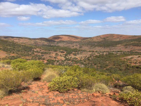 Gawler Ranges National Park