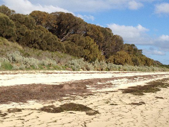 French Island National Park