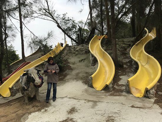 Taiwan Water Buffalo