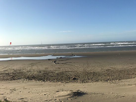 Zhu Nan Seaside Forest Recreational Area