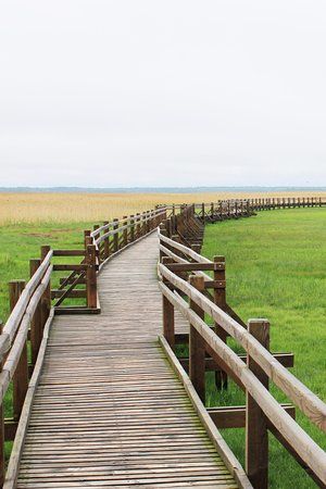Liepaja lake watchtower