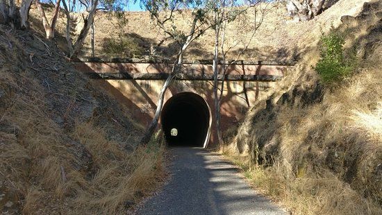 Cheviot Tunnel