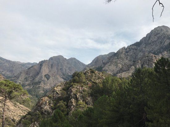 La Forêt de Bonifato