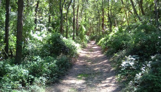 Hallock State Park Preserve