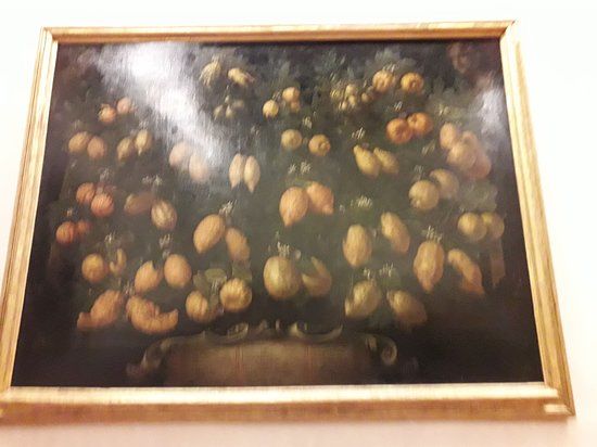 Museo della natura morta