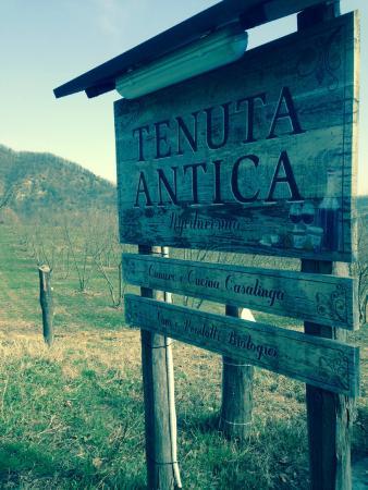 Tenuta Antica