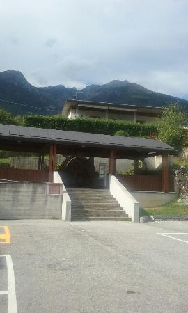 Toni Bevilacqua Bicycle Museum