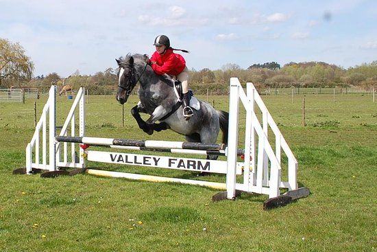 Valley Farm Equestrian