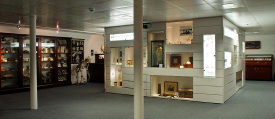 D'Arcy Thompson Zoology Museum