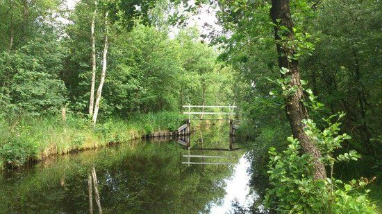 De Weerribben National Park
