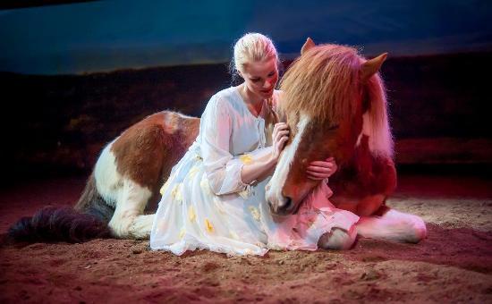 The Icelandic Horse Park Fakasel
