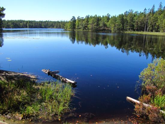 Paradisets Naturreservat