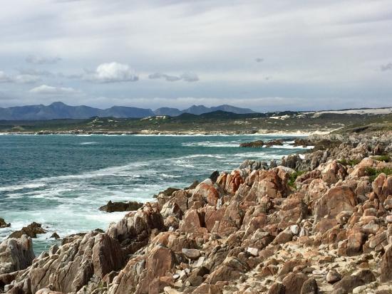 Walker Bay Nature Reserve