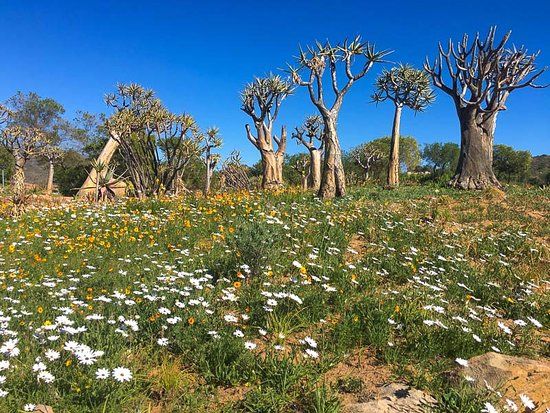 Ramskop Nature Reserve