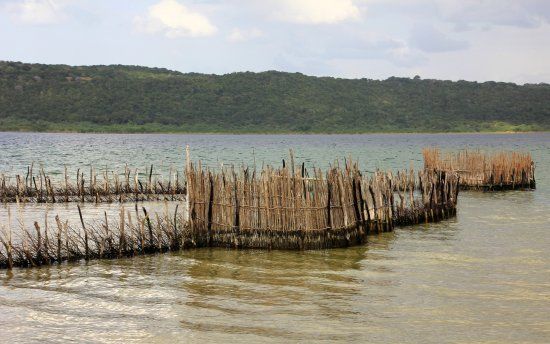 Kosi Bay Nature Reserve