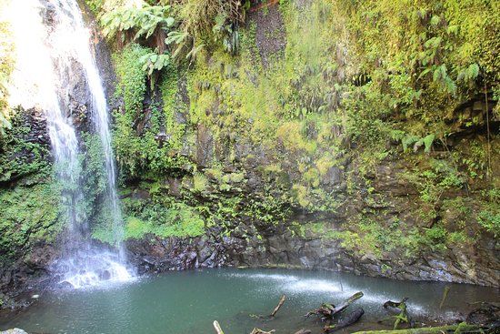 Amber Mountain National Park