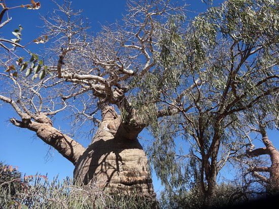 Parc National de Tsimanampetsotsa