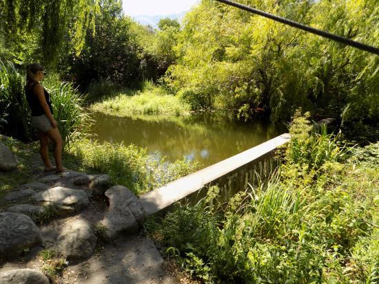 Criadero de Truchas Don Clemente